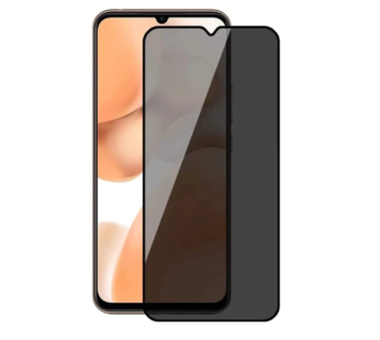 Vivo V17 Pro Privacy Screen Guard