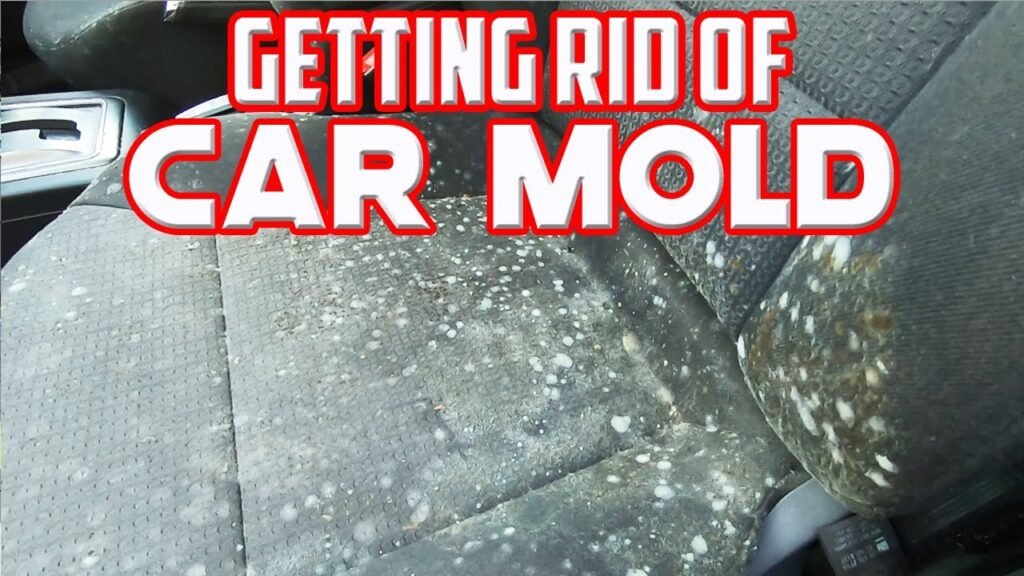 How to Get Mold Out of Your Car