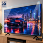55 INCH TV SCREEN PROTECTOR